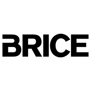 Logo typographique Brice