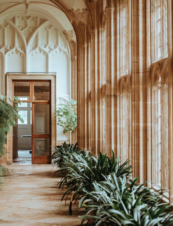 Photo d'un couloir avec des plantes menant à une porte ouverte
