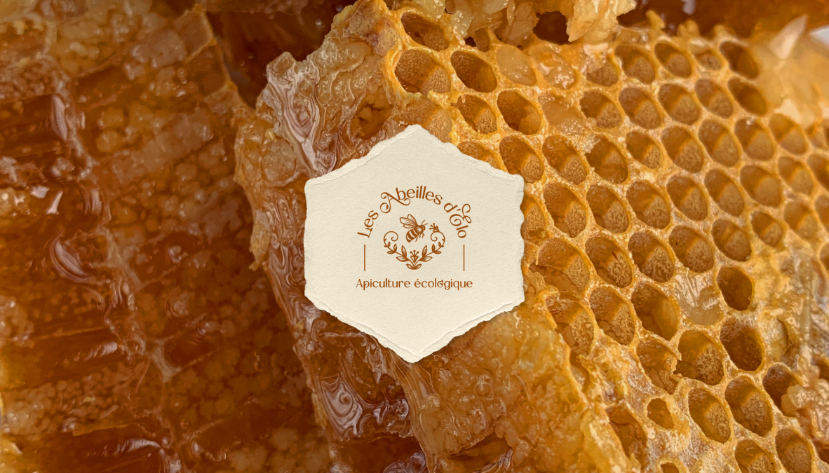 dear-sunflower-identite-visuelle-abeilles-elo-17