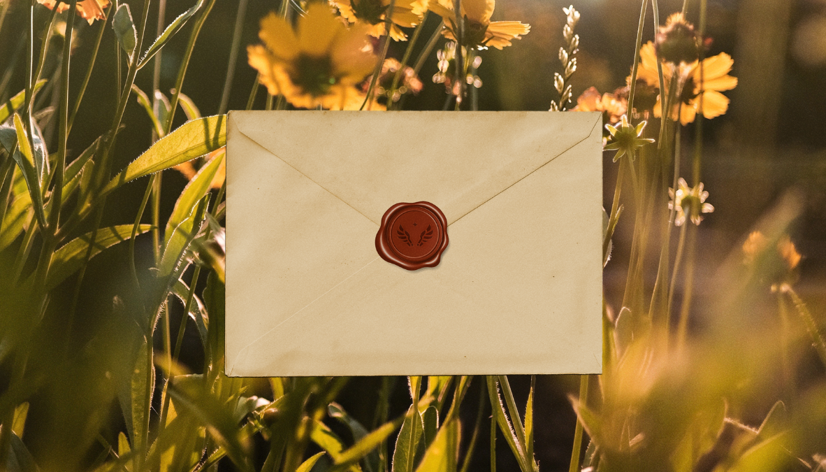 dear-sunflower-identite-visuelle-deux-louves-20
