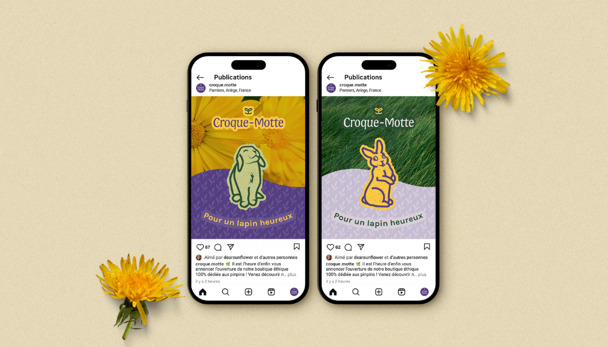 dear-sunflower-identite-visuelle-croque-motte-11