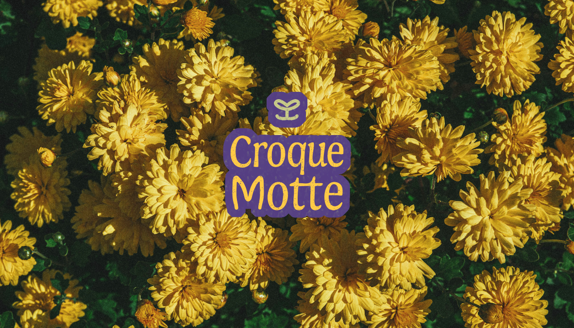 dear-sunflower-identite-visuelle-croque-motte-3