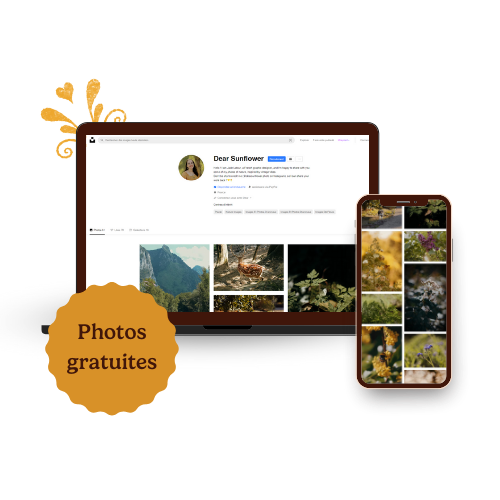 dear-sunflower-photos-vintage-nature-gratuites